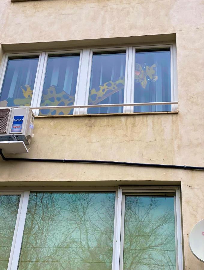 Spacious Apartment Next To South Park Просторен Апартамент До Южен Парк Top Location 소피아 외부 사진